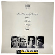 The House Of Love: I Don't Know Why I Love You (12", Single, No ) - DD Music Geek