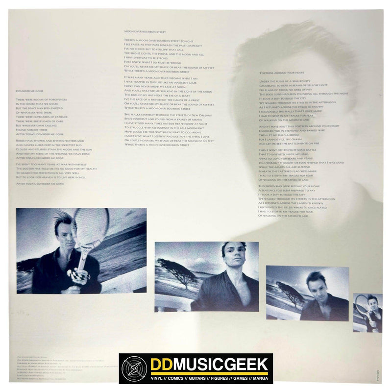 Sting: The Dream Of The Blue Turtles (LP, Album) - DD Music Geek