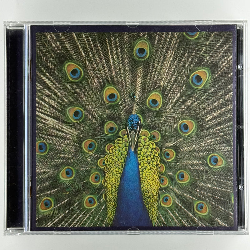The Bluetones: Expecting To Fly - Very Good Plus (VG+) / Very Good Plus (VG+)