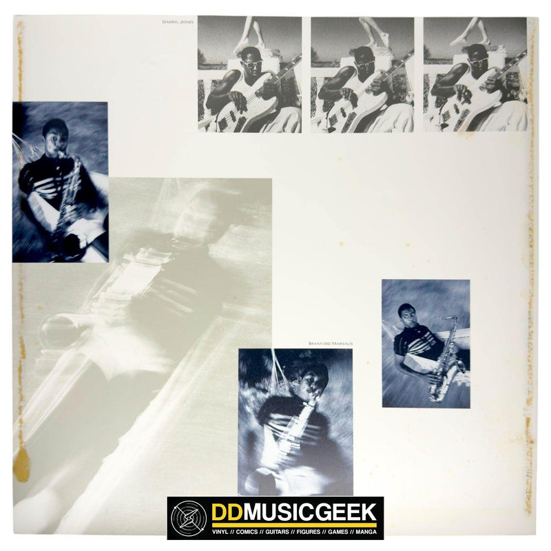 Sting: The Dream Of The Blue Turtles (LP, Album) - DD Music Geek