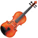 Antoni 'Symphonique' Violin Outfit ~ 4/4 Size - DD Music Geek