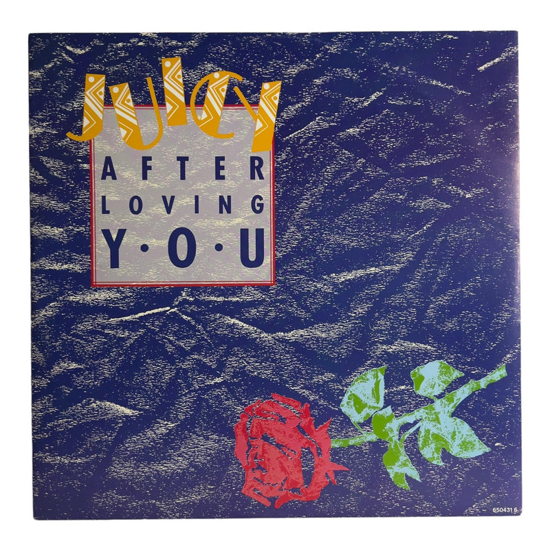 Juicy: After Loving You 12" [Preowned Vinyl] VG+/VG+ - DD Music Geek