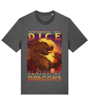 Slayer Of Dragons - RPG - Unisex T-Shirt - DD Music Geek