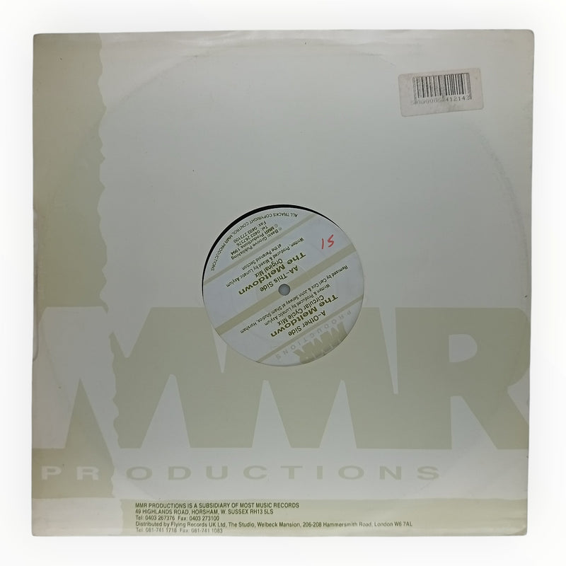 Lunatic Asylum - The Meltdown | 12" Vinyl | Preowned
