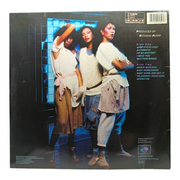 Pointer Sisters - Break Out - Vinyl LP - Preowned - Back Cover