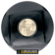 The Photos: The Photos (2xLP, Ltd) - DD Music Geek