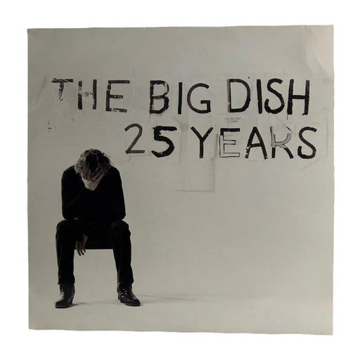 The Big Dish: 25 Years 12" [Preowned Vinyl] VG+/VG+ - DD Music Geek