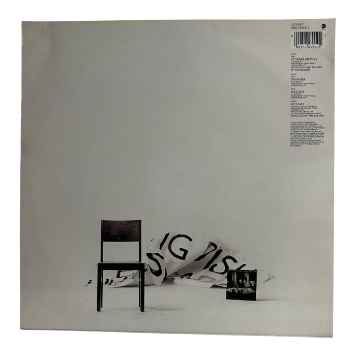 The Big Dish: 25 Years 12" [Preowned Vinyl] VG+/VG+ - DD Music Geek