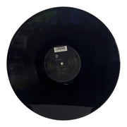 The Big Dish: 25 Years 12" [Preowned Vinyl] VG+/VG+ - DD Music Geek