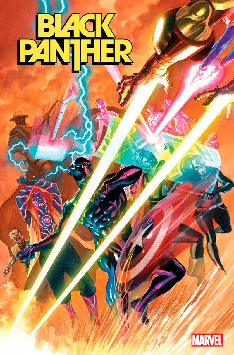 BLACK PANTHER #13 - DD Music Geek