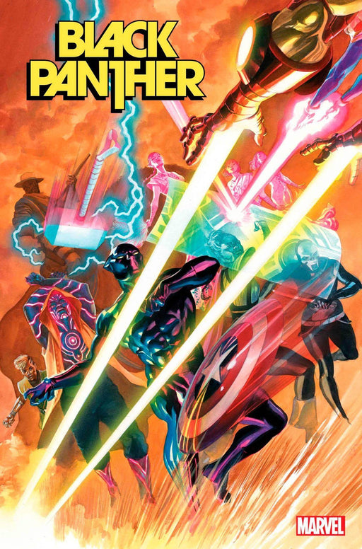 BLACK PANTHER #13 - DD Music Geek