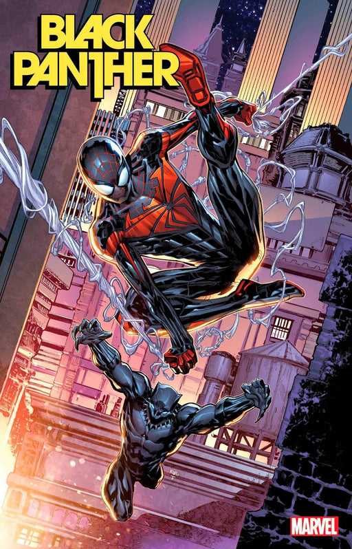 BLACK PANTHER #2 LASHLEY MILES MORALES 10TH ANNIV VAR - DD Music Geek