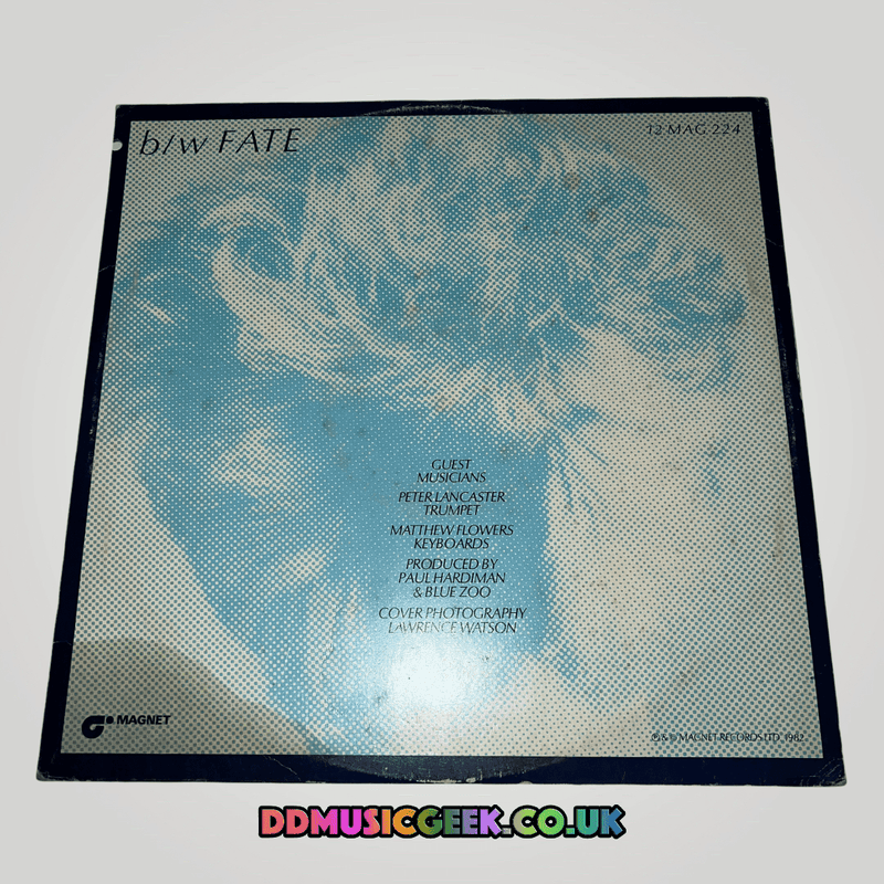 Blue Zoo: I'm Your Man 12" PROMO [Preowned VINYL] VG+/VG - DD Music Geek