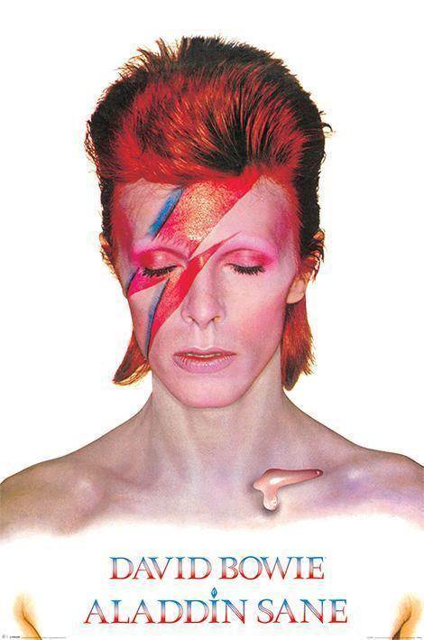 DAVID BOWIE - ALADDIN SANE Maxi Poster - DD Music Geek