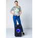 iDance Portable Bluetooth® Sound System ~ 200w - DD Music Geek