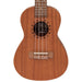 Laka Mahogany Series Ukulele & Carry Bag ~ Concert - DD Music Geek