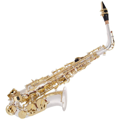 Odyssey Premiere 'Eb' Alto Saxophone Outfit ~ Silver/Gold - DD Music Geek