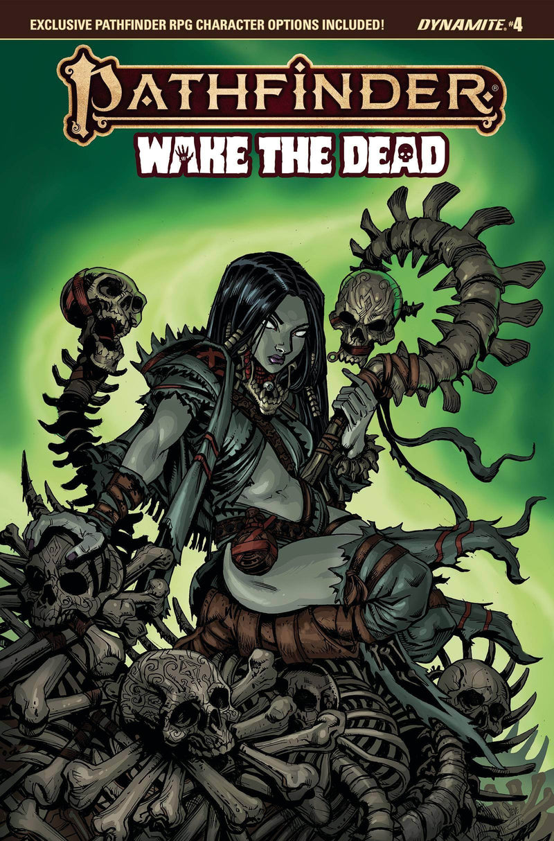 PATHFINDER WAKE DEAD #4 CVR A ELLIS - DD Music Geek