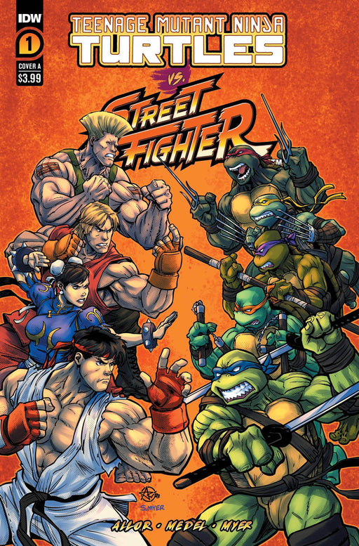TMNT VS STREET FIGHTER #1 (OF 5) CVR A MEDEL - DD Music Geek