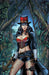 VAN HELSING HELL TO PAY CVR C REYES - DD Music Geek